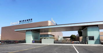 镌定时代坐标，隆力奇谱写发展新华章